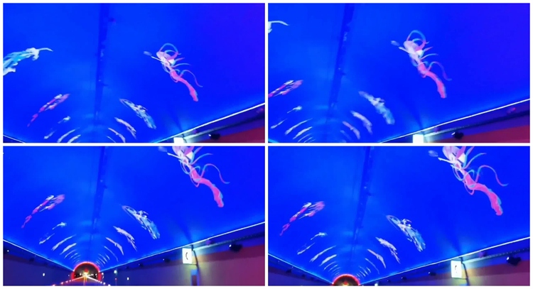LED隧道灯厂家