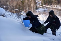 <strong>在2025年的最后一天</strong>