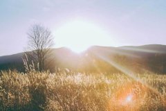 其传承系列一直是古法工